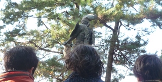 2011.11 清洲公園.jpg